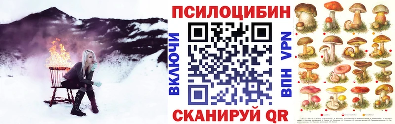 как найти закладки  Бутурлиновка  Галлюциногенные грибы Psilocybe 