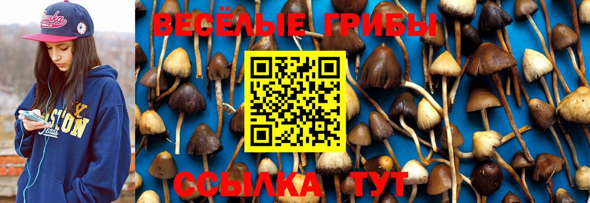 Псилоцибиновые грибы Magic Shrooms  Вход с VPN  Бутурлиновка 